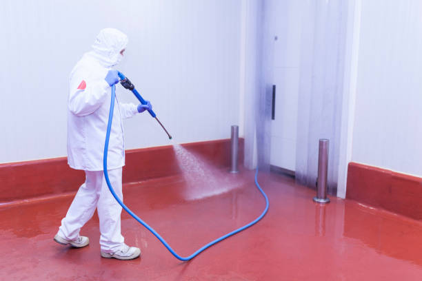 Best Concrete Sealing  in Audubon, PA